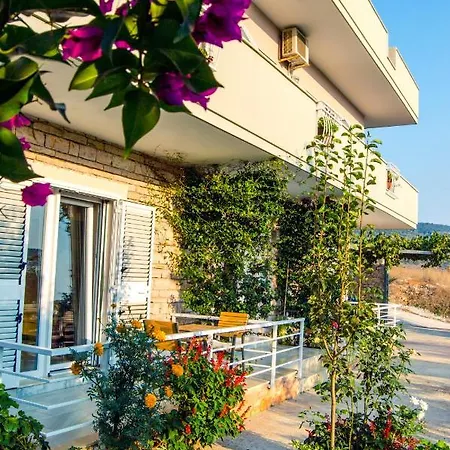 Hotel Paja 3*